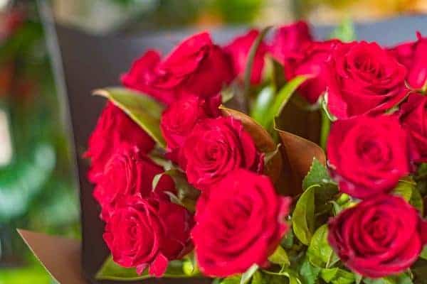Red Roses - Wrapped Simply - Image 3