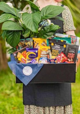 hamper with plant 2 Bright green houseplant and assorted snack foods in a gift box, ideal for NZ gift hampers or plant-themed gifts.
