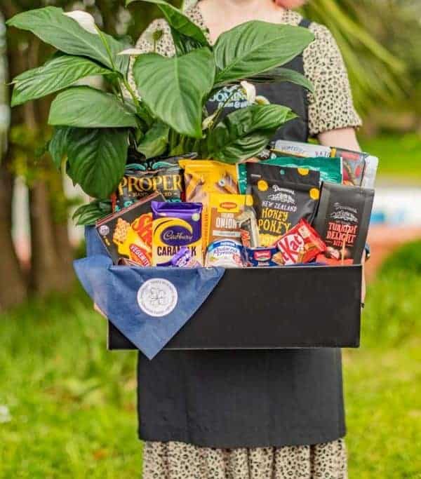 Gourmet Gift Hamper with a House Plant