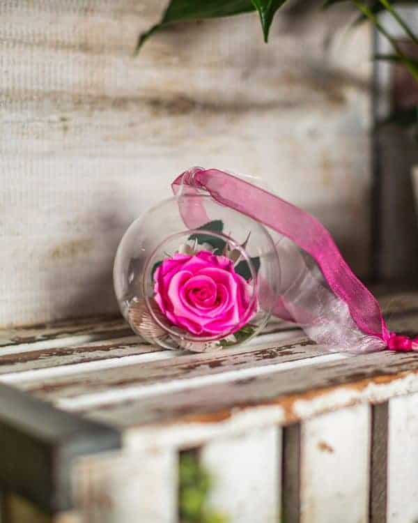 Forever Rose in Glass Globe