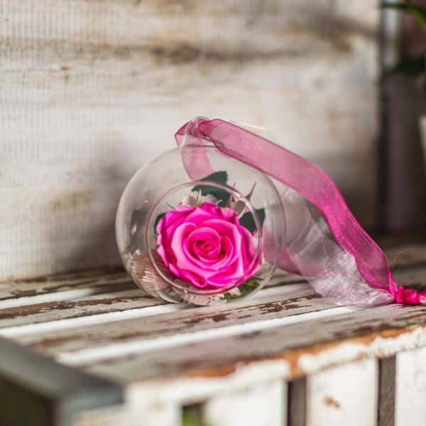 pink rose Vibrant pink rose inside a glass bubble with pink ribbon decoration.