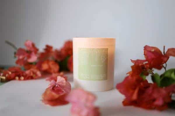 French Pear Soy Candle