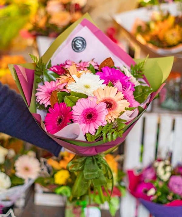 Gerbera Flowers - Florist Choice
