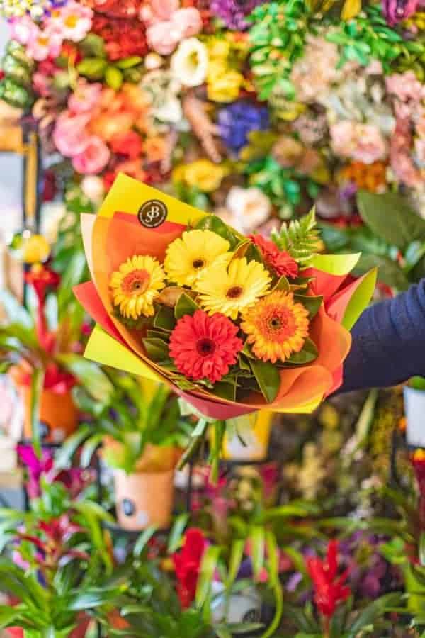 Gerbera Flowers - Florist Choice - Image 4