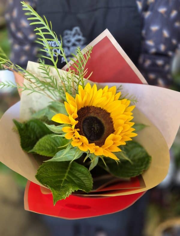 Sunflower wrapped with greenery