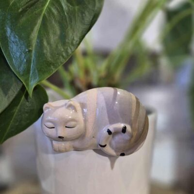 1. Cat for pot plant