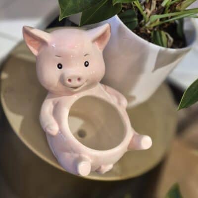 1. pig planter