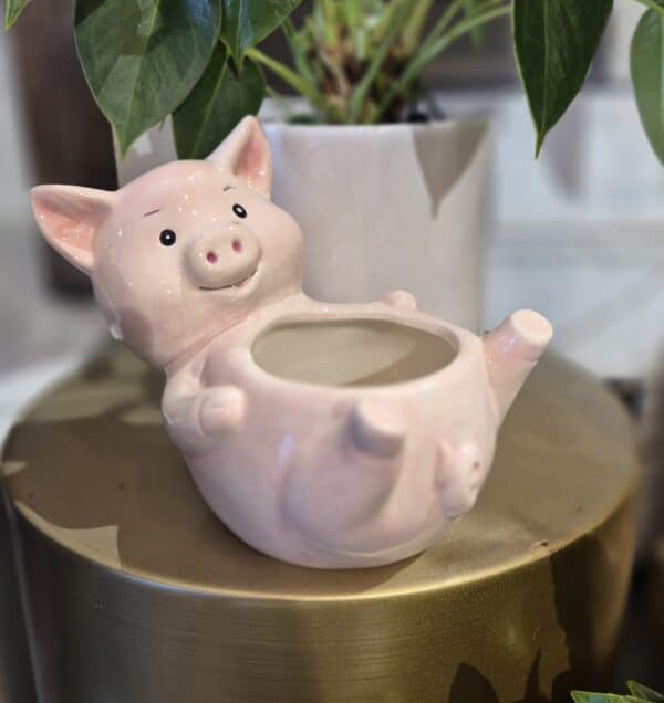 Piggy Planter - Image 2