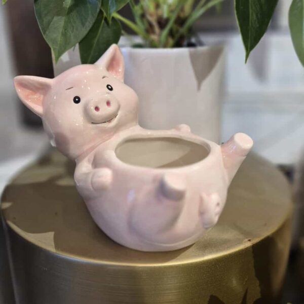 Piggy Planter