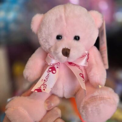 Pink Teddy Bear
