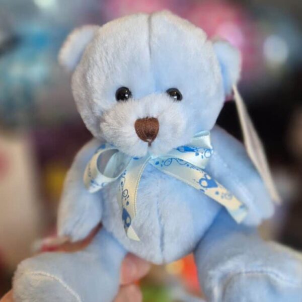 Blue Baby Bear