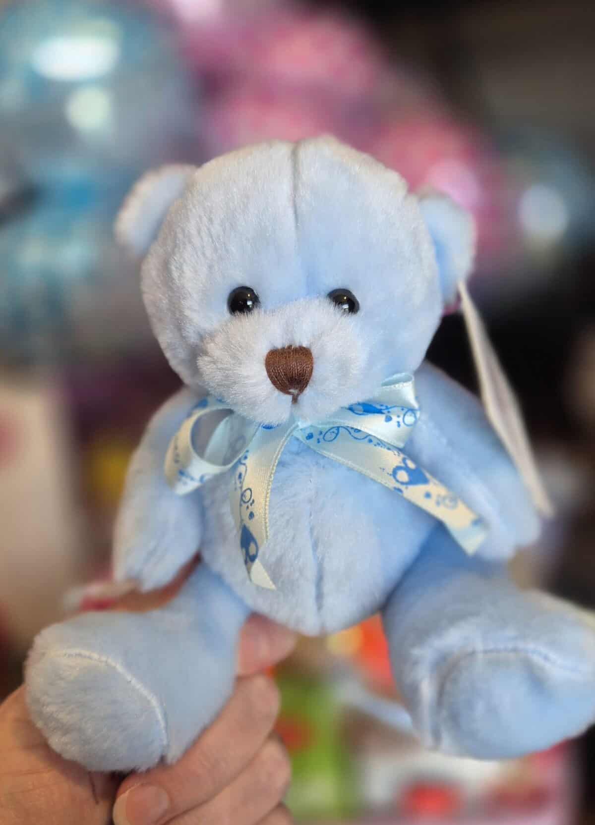 Teddy Bear - Mr Blue